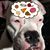 Denise Moran's profile image