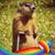 Jules Wertis's profile image
