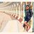 Daniel Monsalve Ruiz's profile image