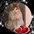 LuAnn Cassaro Kenney's profile image