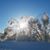 Sherri Laitinen's profile image