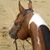 Angie Moorhead's profile image