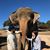 Tillie Martinez's profile image