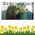 Denise Kassab Defalcis's profile image