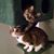 Maria Barnes's profile image
