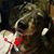 Sherri Piper Lohse's profile image