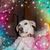 Jennifer Pugh Miller's profile image