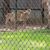 Pam Barnard Pipins's profile image