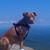 Douglas Vatcher's profile image
