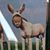 Nicole Venturi's profile image