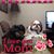 Patricia Ford's profile image