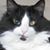 Karen Bowler's profile image