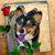Bente Fladseth Jones's profile image