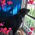 Sandy Gray's profile image