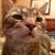 Pamela Pepper's profile image