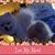 Mary Lou Miller's profile image