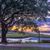 Pamela Forest Cosgrove's profile image