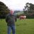 Bob Conklin's profile image