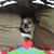 John Gallagher's profile image