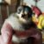 Jan Rothe's profile image