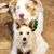 Chrissy Hoelscher Mueller's profile image