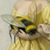 MCatherine Lunsford's profile image
