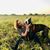 Rachelle Dugan's profile image