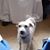 John Faulhaber's profile image