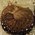 Lisa Fulcher Jordan's profile image