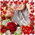 Rossana Johnson's profile image