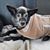 Janie Jenkins Hiles's profile image