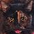 Ginny Boveington's profile image