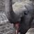 Tracey Rainey Smith's profile image