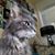 Barbara Bogdal Runkle's profile image