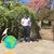Diego Prado's profile image