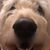 Bobbi Stewart's profile image
