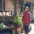 李寶環's profile image