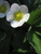 Mercedes P.'s profile image