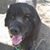 Jessi Jaffe's profile image
