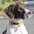 Ryan D. Waterbury's profile image