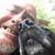 Andy Tutor's profile image