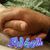 Gary L Crawford's profile image