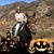 Linda Biscoe Fitzgerald's profile image