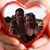 Jean Marie George's profile image