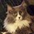 Beth Eddings's profile image