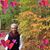 Denise Macon's profile image