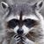 Pat Shields's profile image