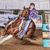 April Hollinger's profile image