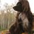 Sophia Chalberg's profile image