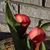 Kathy N Vic Hadding's profile image